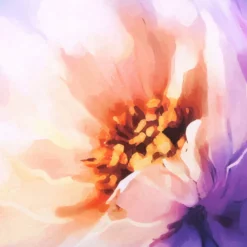 Coppia Federe Decoration Disegno 05 Fiori Artistici