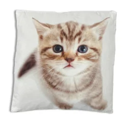 Cuscino Gattino3 40 x 40cm
