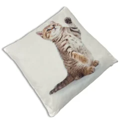 Cuscino Gattino2 40 x 40cm