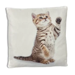 Cuscino Gattino2 40 x 40cm