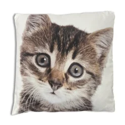 Cuscino Gattino1 40 x 40cm
