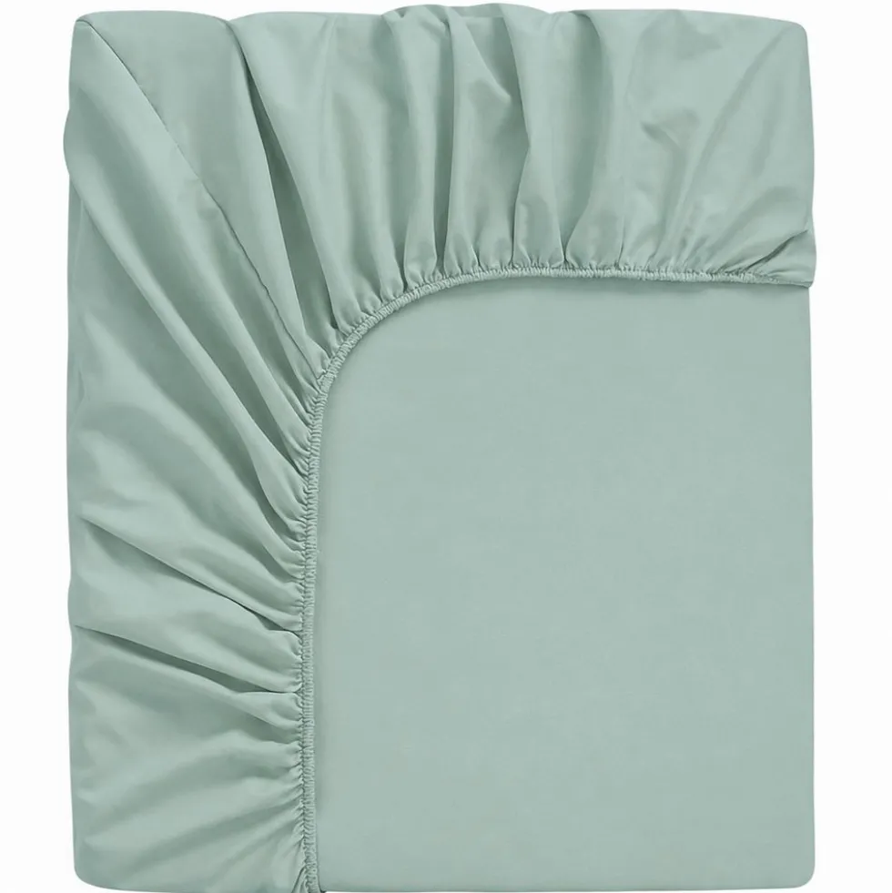 Lenzuolo sotto con angoli elastici Joli maxi Salvia Singolo