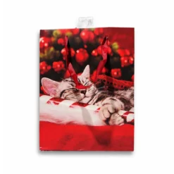 Sacchetto regalo Gattino assonnato 18 x 10 x 22H cm