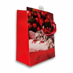 Sacchetto regalo Gattino assonnato 18 x 10 x 22H cm