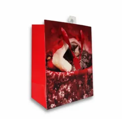 Sacchetto regalo Gattino con cuffia 18 x 10 x 22H cm