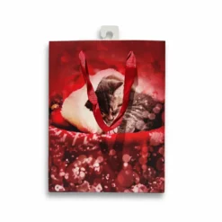 Sacchetto regalo Gattino con cuffia 18 x 10 x 22H cm