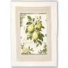 Set 6 Canovacci cucina spugna Country Cote