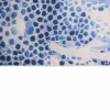 Tovaglia antimacchia Kiki Mare Coralli Mosaico Azzurri 140x180